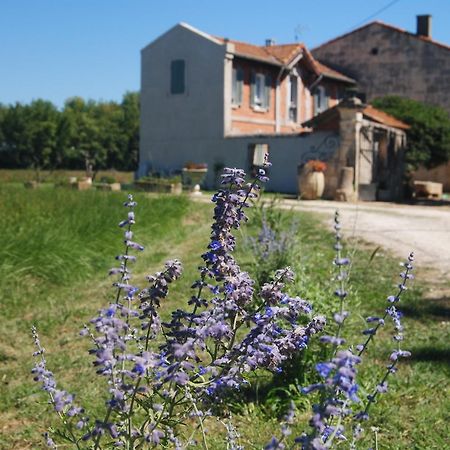 Le Mas Marguerite Arles Luaran gambar