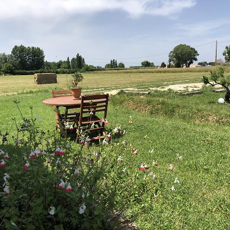 Le Mas Marguerite Arles Luaran gambar