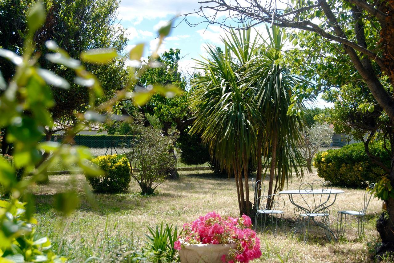 Le Mas Marguerite Arles Luaran gambar