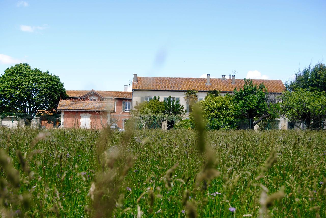 Le Mas Marguerite Arles Luaran gambar