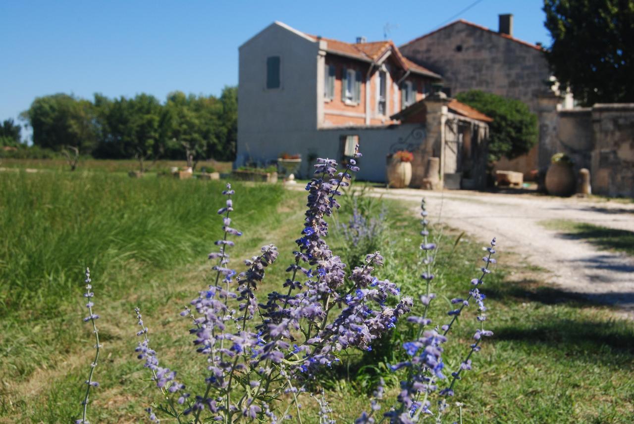 Le Mas Marguerite Arles Luaran gambar