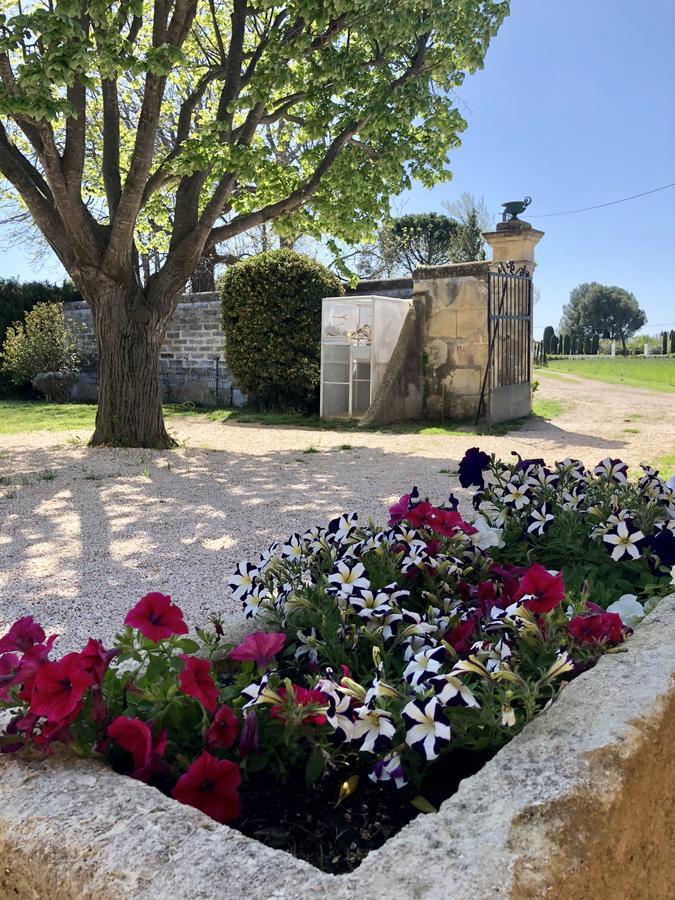 Le Mas Marguerite Arles Luaran gambar
