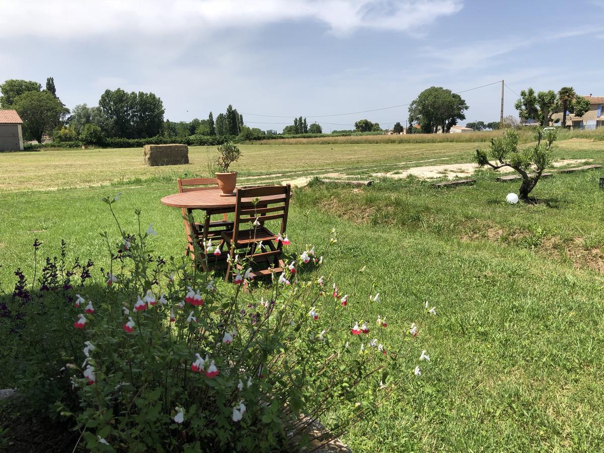 Le Mas Marguerite Arles Luaran gambar